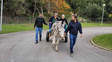 dois séniores a andar de burro