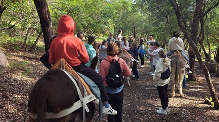 pessoas a andar de burro e a caminhar